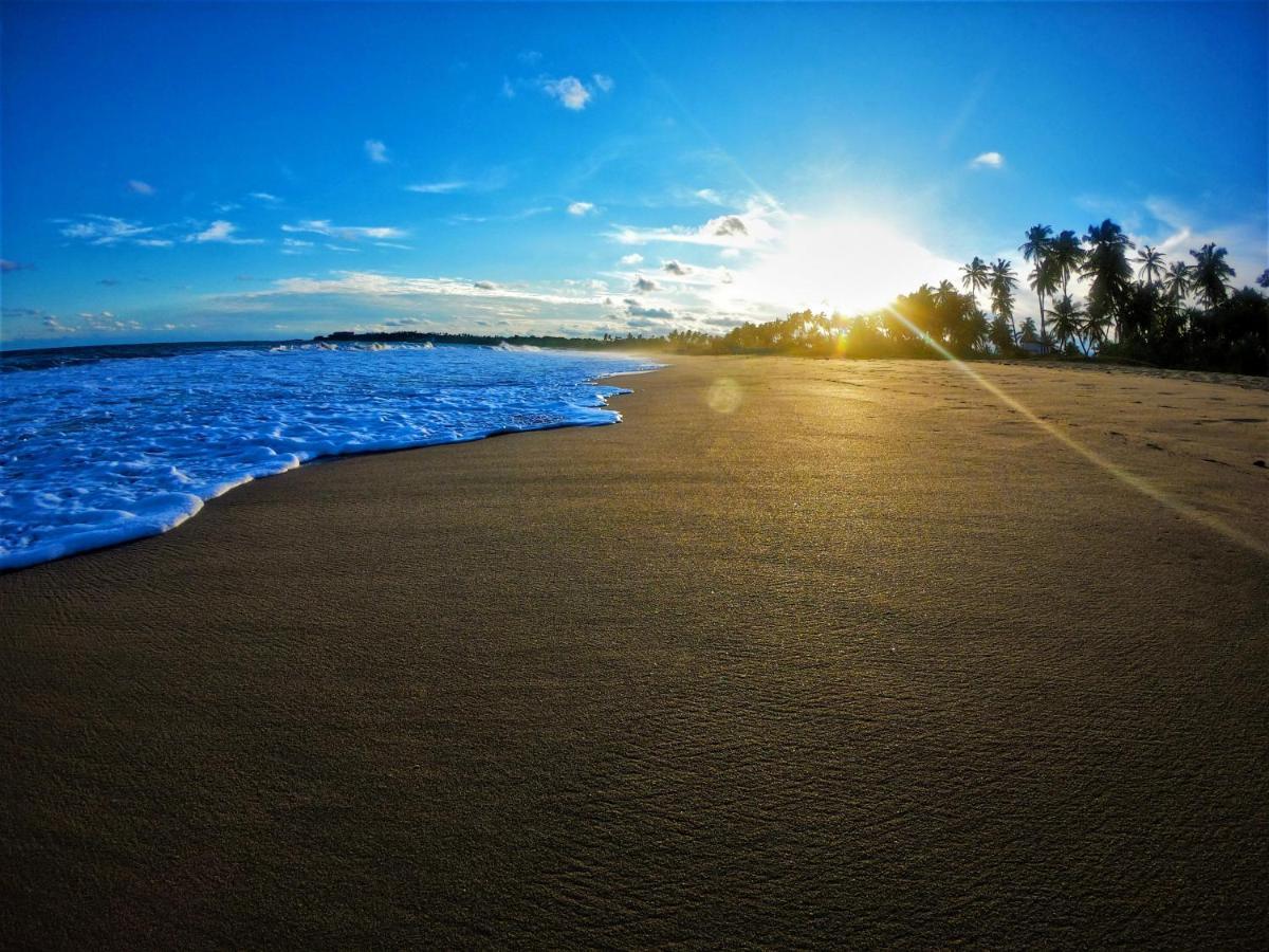Sleeping Elephant Beach Resort Tangalle Exterior foto