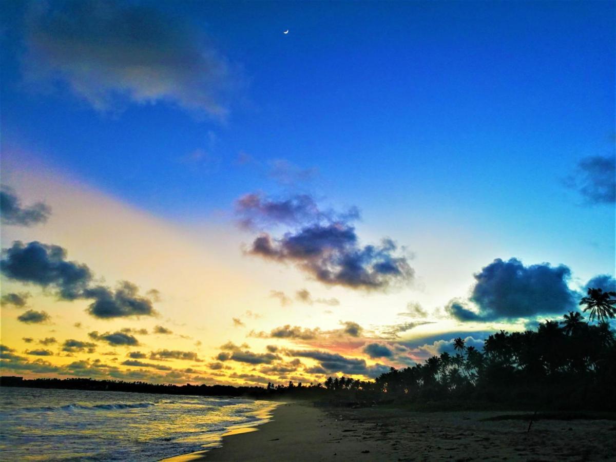Sleeping Elephant Beach Resort Tangalle Exterior foto